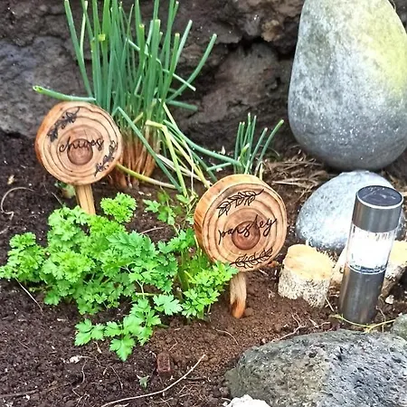 Casa Vista Fantastica