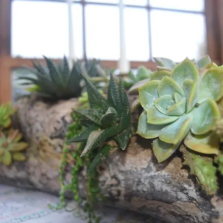 Casa Vista Fantastica Σπίτι διακοπών