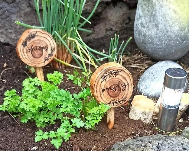 Casa Vista Fantastica