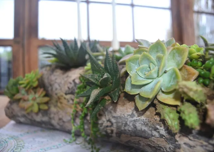 Casa Vista Fantástica Nyaraló