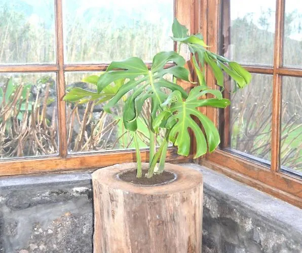 Casa Vista Fantástica Nyaraló Pedro Miguel